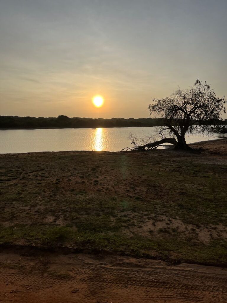 yala-auringonnousu
