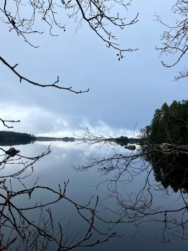 liesjarven-kansallispuisto-jarvi
