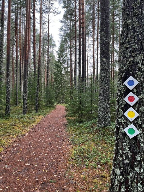 liesjarven-kansallispuisto-merkit