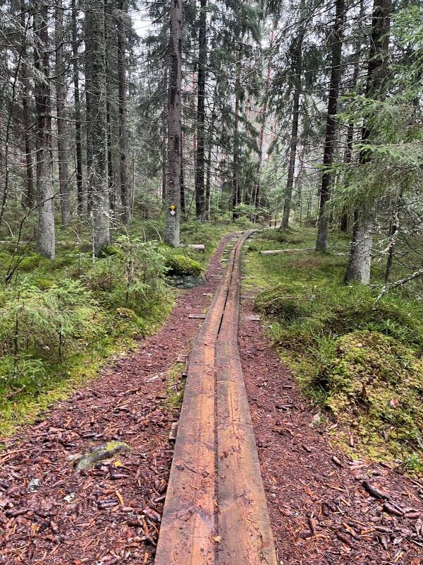 liesjarven-kansallispuisto-pitkospuut