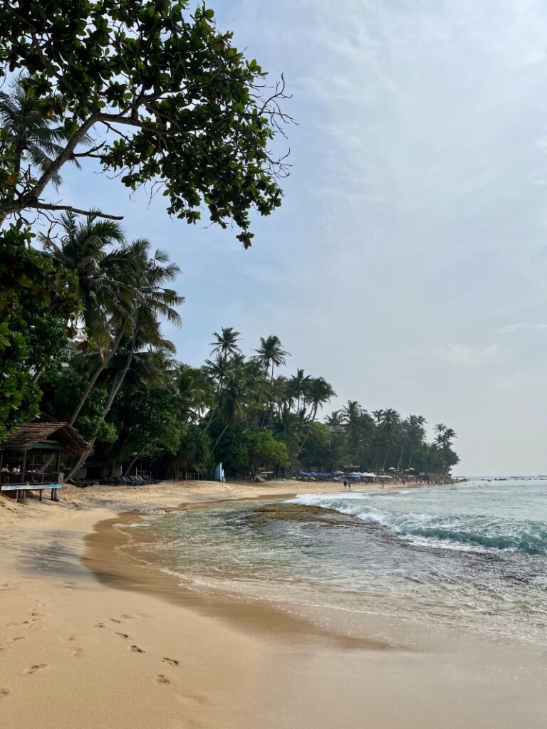 dalawella-beach