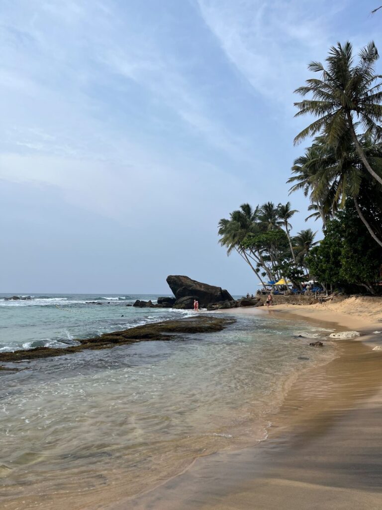 dalawella-beach-sammakkokivi